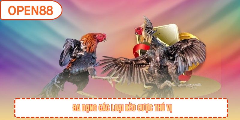 Đa dạng các loại kèo cược thú vị
